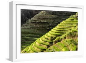 China 10MKm2 Collection - Rice Terraces - Longsheng Ping'an - Guangxi-Philippe Hugonnard-Framed Photographic Print