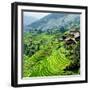 China 10MKm2 Collection - Rice Terraces - Longsheng Ping'an - Guangxi-Philippe Hugonnard-Framed Photographic Print