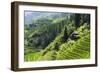 China 10MKm2 Collection - Rice Terraces - Longsheng Ping'an - Guangxi-Philippe Hugonnard-Framed Photographic Print