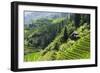 China 10MKm2 Collection - Rice Terraces - Longsheng Ping'an - Guangxi-Philippe Hugonnard-Framed Photographic Print