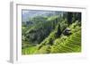 China 10MKm2 Collection - Rice Terraces - Longsheng Ping'an - Guangxi-Philippe Hugonnard-Framed Photographic Print