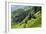 China 10MKm2 Collection - Rice Terraces - Longsheng Ping'an - Guangxi-Philippe Hugonnard-Framed Photographic Print