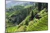 China 10MKm2 Collection - Rice Terraces - Longsheng Ping'an - Guangxi-Philippe Hugonnard-Mounted Photographic Print