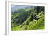 China 10MKm2 Collection - Rice Terraces - Longsheng Ping'an - Guangxi-Philippe Hugonnard-Framed Photographic Print