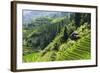 China 10MKm2 Collection - Rice Terraces - Longsheng Ping'an - Guangxi-Philippe Hugonnard-Framed Photographic Print