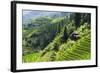 China 10MKm2 Collection - Rice Terraces - Longsheng Ping'an - Guangxi-Philippe Hugonnard-Framed Photographic Print