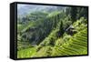 China 10MKm2 Collection - Rice Terraces - Longsheng Ping'an - Guangxi-Philippe Hugonnard-Framed Stretched Canvas