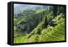 China 10MKm2 Collection - Rice Terraces - Longsheng Ping'an - Guangxi-Philippe Hugonnard-Framed Stretched Canvas