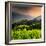 China 10MKm2 Collection - Rice Terraces - Longsheng Ping'an - Guangxi-Philippe Hugonnard-Framed Photographic Print