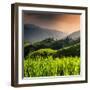 China 10MKm2 Collection - Rice Terraces - Longsheng Ping'an - Guangxi-Philippe Hugonnard-Framed Photographic Print