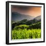 China 10MKm2 Collection - Rice Terraces - Longsheng Ping'an - Guangxi-Philippe Hugonnard-Framed Photographic Print