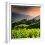 China 10MKm2 Collection - Rice Terraces - Longsheng Ping'an - Guangxi-Philippe Hugonnard-Framed Photographic Print