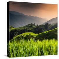 China 10MKm2 Collection - Rice Terraces - Longsheng Ping'an - Guangxi-Philippe Hugonnard-Stretched Canvas