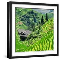 China 10MKm2 Collection - Rice Terraces - Longsheng Ping'an - Guangxi-Philippe Hugonnard-Framed Photographic Print