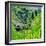 China 10MKm2 Collection - Rice Terraces - Longsheng Ping'an - Guangxi-Philippe Hugonnard-Framed Photographic Print