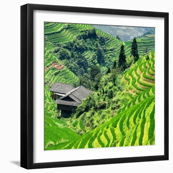 China 10MKm2 Collection - Rice Terraces - Longsheng Ping'an - Guangxi-Philippe Hugonnard-Framed Photographic Print