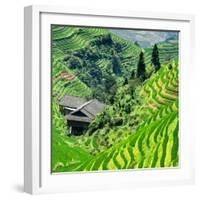 China 10MKm2 Collection - Rice Terraces - Longsheng Ping'an - Guangxi-Philippe Hugonnard-Framed Photographic Print