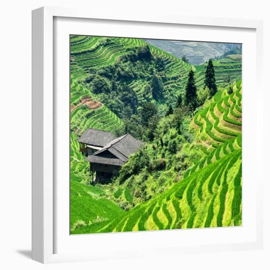 China 10MKm2 Collection - Rice Terraces - Longsheng Ping'an - Guangxi-Philippe Hugonnard-Framed Photographic Print