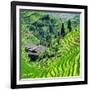 China 10MKm2 Collection - Rice Terraces - Longsheng Ping'an - Guangxi-Philippe Hugonnard-Framed Photographic Print