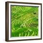 China 10MKm2 Collection - Rice Terraces - Longsheng Ping'an - Guangxi-Philippe Hugonnard-Framed Photographic Print