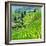 China 10MKm2 Collection - Rice Terraces - Longsheng Ping'an - Guangxi-Philippe Hugonnard-Framed Photographic Print