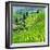 China 10MKm2 Collection - Rice Terraces - Longsheng Ping'an - Guangxi-Philippe Hugonnard-Framed Photographic Print