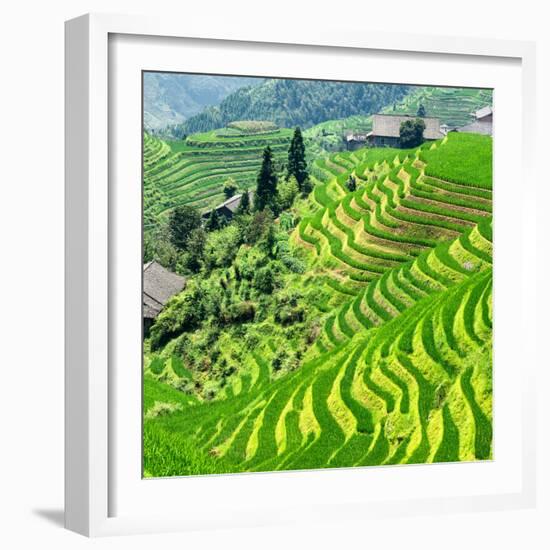 China 10MKm2 Collection - Rice Terraces - Longsheng Ping'an - Guangxi-Philippe Hugonnard-Framed Photographic Print