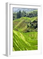 China 10MKm2 Collection - Rice Terraces - Longsheng Ping'an - Guangxi-Philippe Hugonnard-Framed Photographic Print