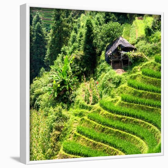 China 10MKm2 Collection - Rice Terraces - Longsheng Ping'an - Guangxi-Philippe Hugonnard-Framed Photographic Print