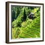 China 10MKm2 Collection - Rice Terraces - Longsheng Ping'an - Guangxi-Philippe Hugonnard-Framed Photographic Print