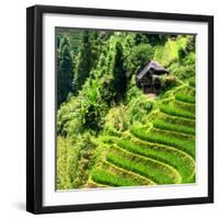 China 10MKm2 Collection - Rice Terraces - Longsheng Ping'an - Guangxi-Philippe Hugonnard-Framed Photographic Print