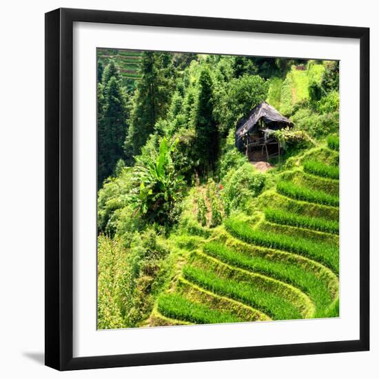 China 10MKm2 Collection - Rice Terraces - Longsheng Ping'an - Guangxi-Philippe Hugonnard-Framed Photographic Print