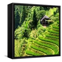 China 10MKm2 Collection - Rice Terraces - Longsheng Ping'an - Guangxi-Philippe Hugonnard-Framed Stretched Canvas