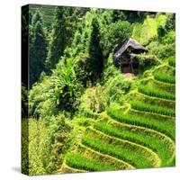 China 10MKm2 Collection - Rice Terraces - Longsheng Ping'an - Guangxi-Philippe Hugonnard-Stretched Canvas