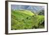 China 10MKm2 Collection - Rice Terraces - Longsheng Ping'an - Guangxi-Philippe Hugonnard-Framed Photographic Print