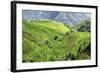 China 10MKm2 Collection - Rice Terraces - Longsheng Ping'an - Guangxi-Philippe Hugonnard-Framed Photographic Print