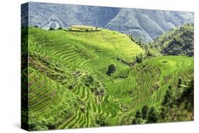 China 10MKm2 Collection - Rice Terraces - Longsheng Ping'an - Guangxi-Philippe Hugonnard-Stretched Canvas