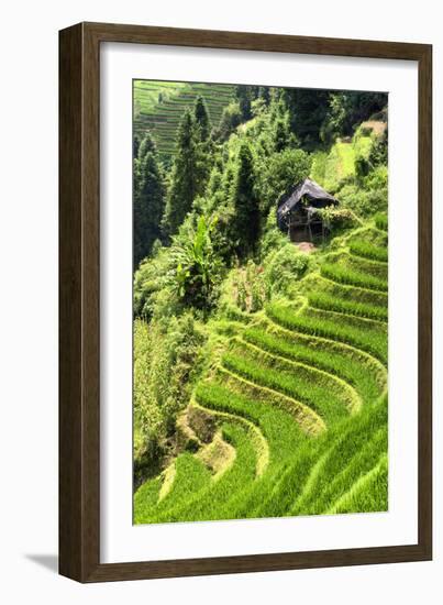 China 10MKm2 Collection - Rice Terraces - Longsheng Ping'an - Guangxi-Philippe Hugonnard-Framed Photographic Print