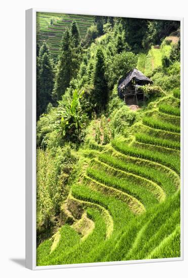 China 10MKm2 Collection - Rice Terraces - Longsheng Ping'an - Guangxi-Philippe Hugonnard-Framed Photographic Print