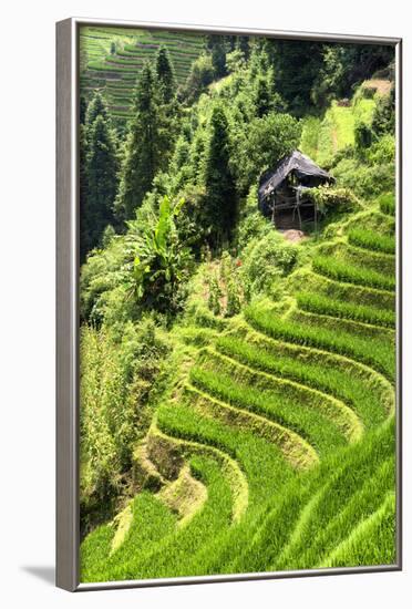 China 10MKm2 Collection - Rice Terraces - Longsheng Ping'an - Guangxi-Philippe Hugonnard-Framed Photographic Print