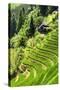 China 10MKm2 Collection - Rice Terraces - Longsheng Ping'an - Guangxi-Philippe Hugonnard-Stretched Canvas