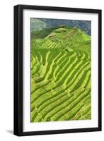 China 10MKm2 Collection - Rice Terraces - Longsheng Ping'an - Guangxi-Philippe Hugonnard-Framed Photographic Print