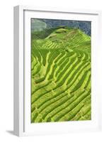 China 10MKm2 Collection - Rice Terraces - Longsheng Ping'an - Guangxi-Philippe Hugonnard-Framed Photographic Print