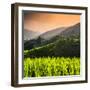 China 10MKm2 Collection - Rice Terraces - Longsheng Ping'an - Guangxi-Philippe Hugonnard-Framed Photographic Print