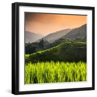 China 10MKm2 Collection - Rice Terraces - Longsheng Ping'an - Guangxi-Philippe Hugonnard-Framed Photographic Print