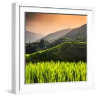 China 10MKm2 Collection - Rice Terraces - Longsheng Ping'an - Guangxi-Philippe Hugonnard-Framed Photographic Print