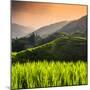 China 10MKm2 Collection - Rice Terraces - Longsheng Ping'an - Guangxi-Philippe Hugonnard-Mounted Photographic Print