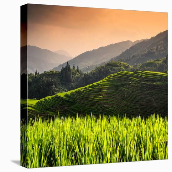 China 10MKm2 Collection - Rice Terraces - Longsheng Ping'an - Guangxi-Philippe Hugonnard-Stretched Canvas