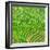 China 10MKm2 Collection - Rice Terraces - Longsheng Ping'an - Guangxi-Philippe Hugonnard-Framed Photographic Print