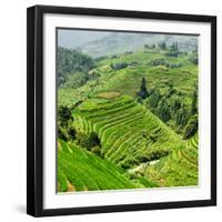 China 10MKm2 Collection - Rice Terraces - Longsheng Ping'an - Guangxi-Philippe Hugonnard-Framed Premium Photographic Print